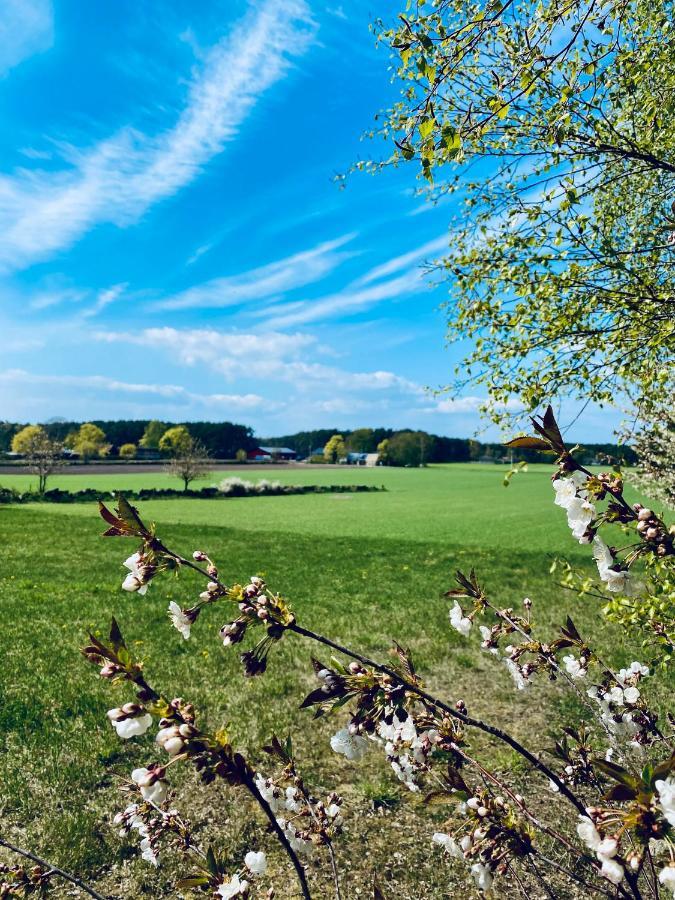 Pensionat Lilla Paradiset Hällevik Exteriör bild