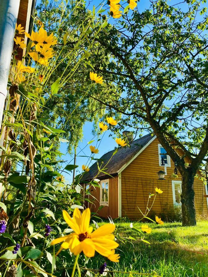 Pensionat Lilla Paradiset Hällevik Exteriör bild